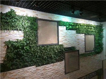 杭州植物綠墻施工 植物綠墻供求熱線 惜綠公司高清圖片 高清大圖