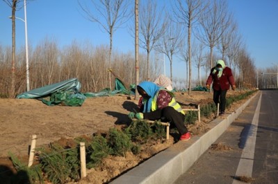 濱州33項園林綠化新建續建工程本月底前全面開工