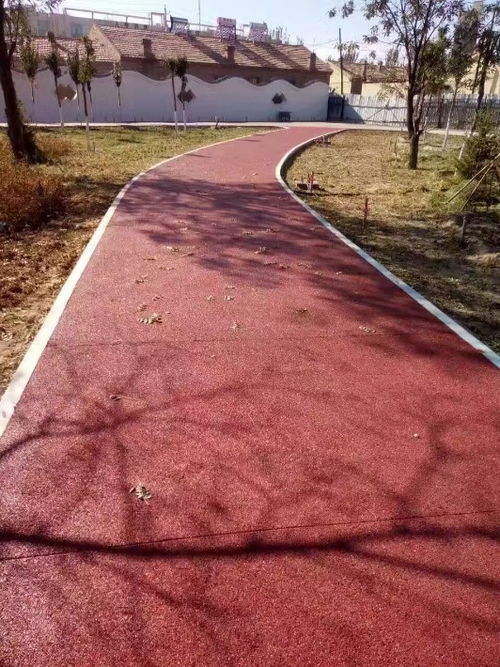 上海